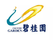 江汉碧桂园地产